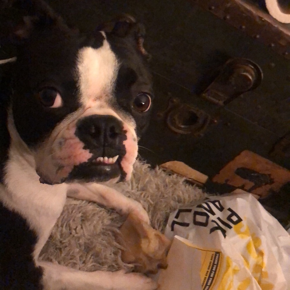 Meet your Posher, Rebekah